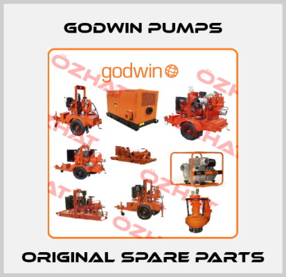 Godwin Pumps