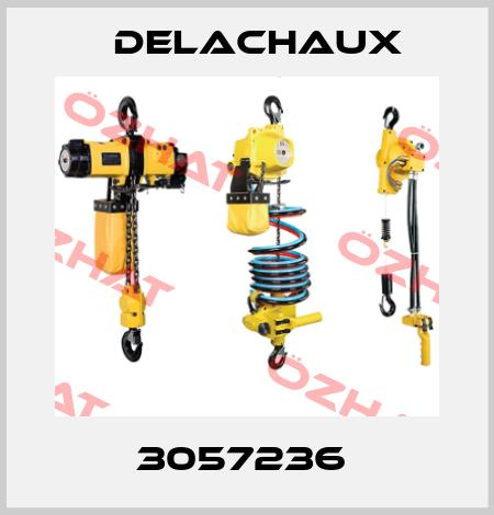 3057236  Delachaux
