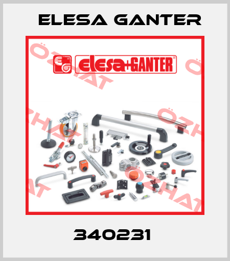 340231  Elesa Ganter