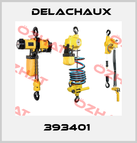 393401  Delachaux