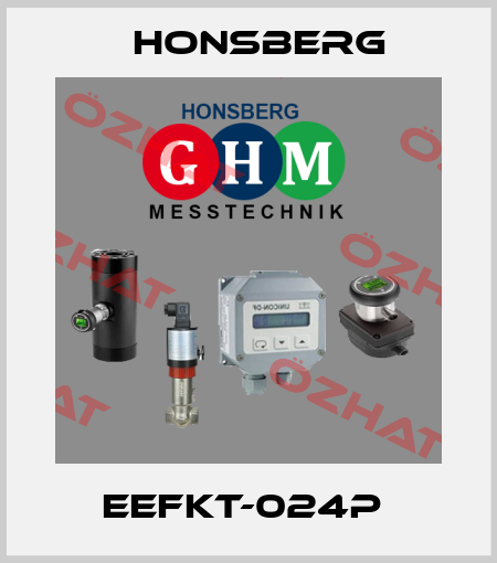 EEFKT-024P  Honsberg