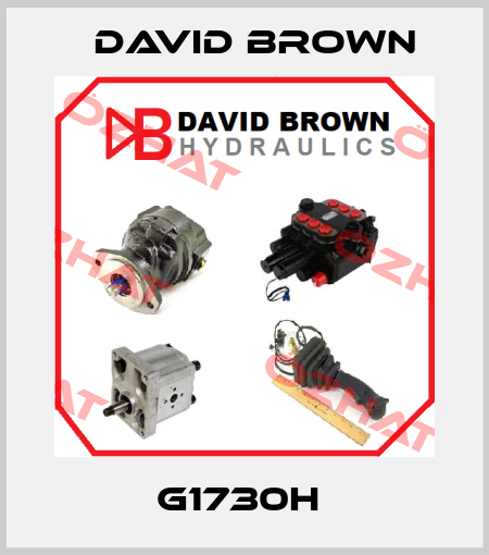 G1730H  David Brown