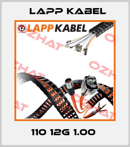 110 12G 1.00  Lapp Kabel