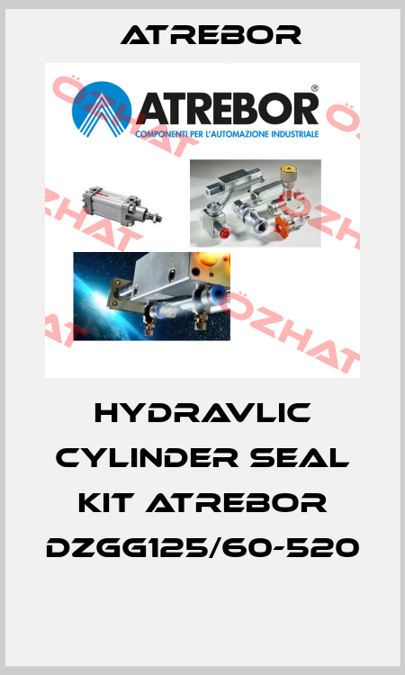 HYDRAVLIC CYLINDER SEAL KIT ATREBOR DZGG125/60-520  Atrebor