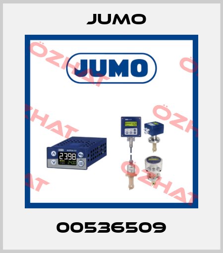 00536509 Jumo