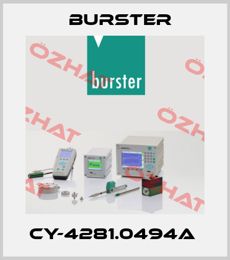 CY-4281.0494A  Burster