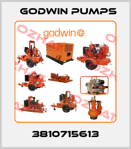 3810715613 Godwin Pumps