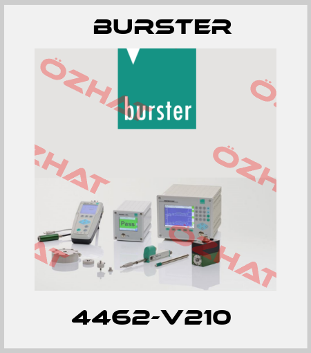4462-V210  Burster