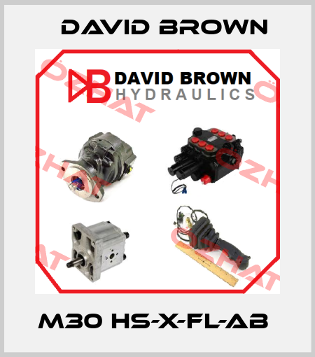M30 HS-X-FL-AB  David Brown