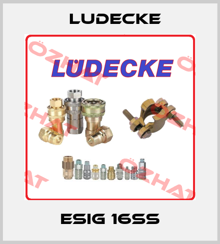 ESIG 16SS Ludecke