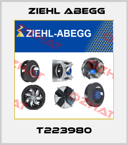 T223980 Ziehl Abegg