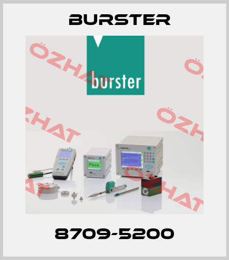 8709-5200 Burster
