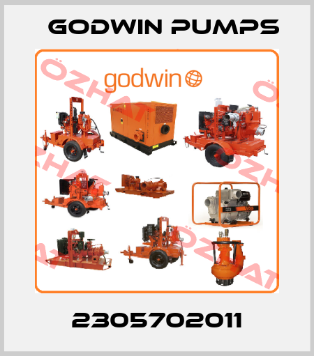 2305702011 Godwin Pumps