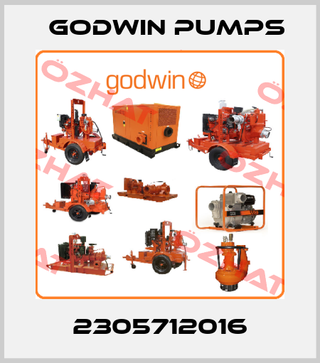 2305712016 Godwin Pumps