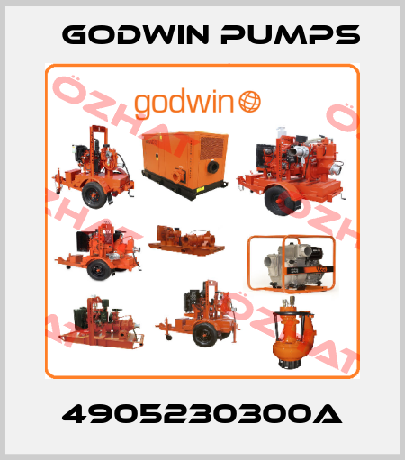 4905230300A Godwin Pumps