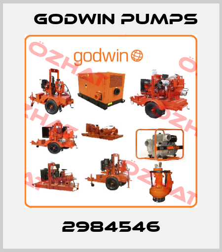 2984546 Godwin Pumps