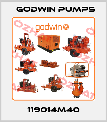 119014M40 Godwin Pumps