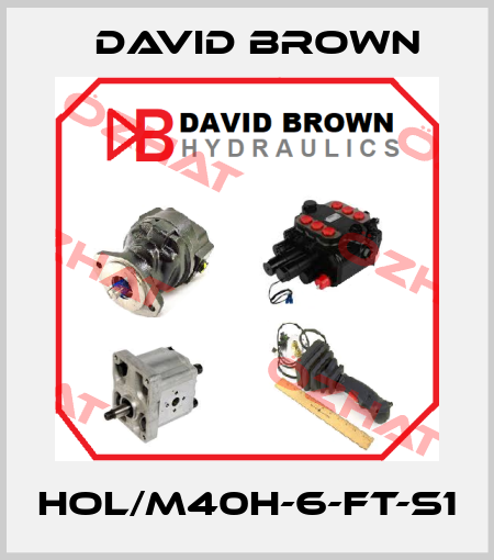 HOL/M40H-6-FT-S1 David Brown
