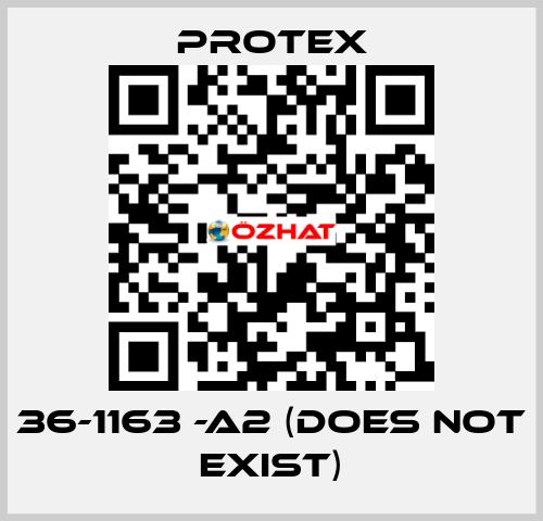 36-1163 -A2 (DOES NOT EXIST) Protex
