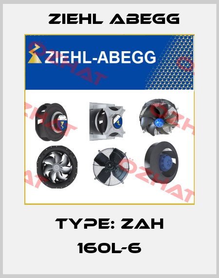 Type: ZAH 160L-6 Ziehl Abegg