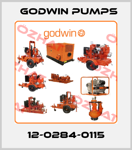 12-0284-0115 Godwin Pumps