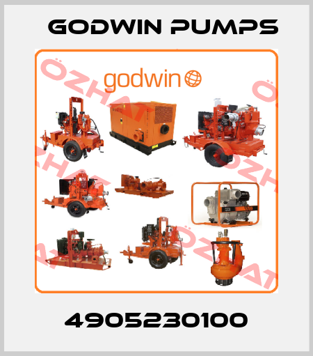 4905230100 Godwin Pumps