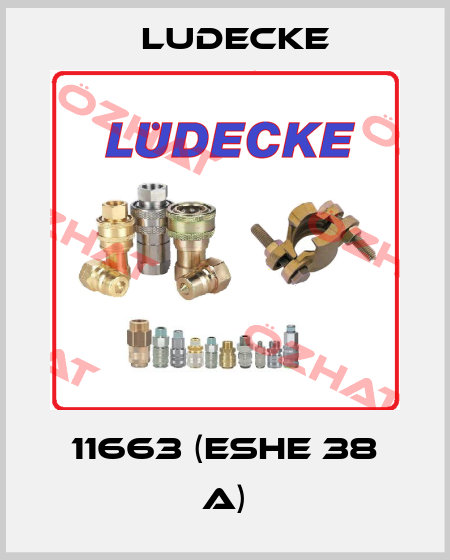 11663 (ESHE 38 A) Ludecke