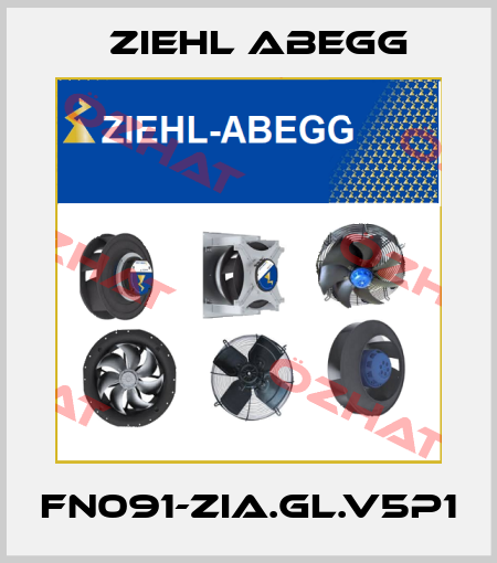 FN091-ZIA.GL.V5P1 Ziehl Abegg