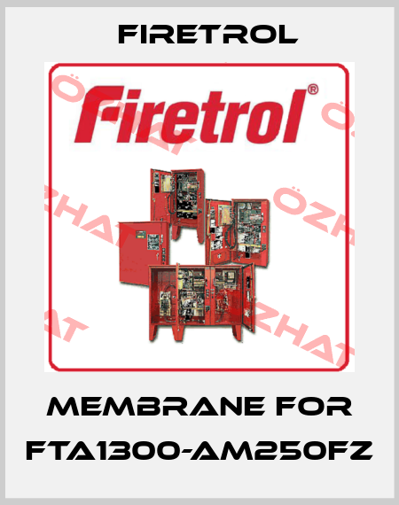 membrane for FTA1300-AM250FZ Firetrol