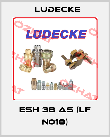 ESH 38 AS (LF N018) Ludecke