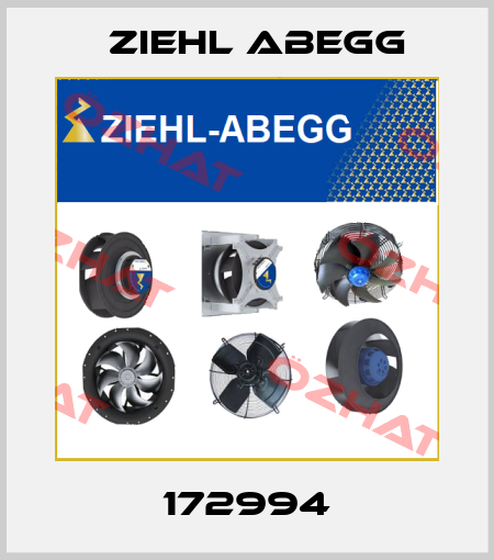 172994 Ziehl Abegg