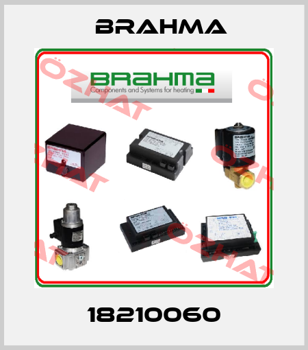 18210060 Brahma