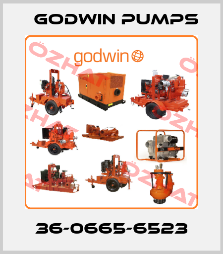 36-0665-6523 Godwin Pumps