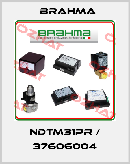 NDTM31PR / 37606004 Brahma