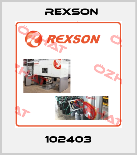 102403 Rexson