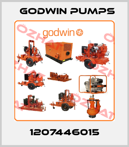 1207446015 Godwin Pumps