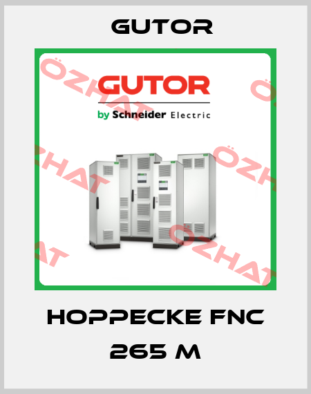 HOPPECKE FNC 265 M Gutor