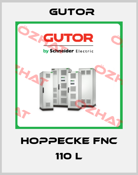 HOPPECKE FNC 110 L Gutor