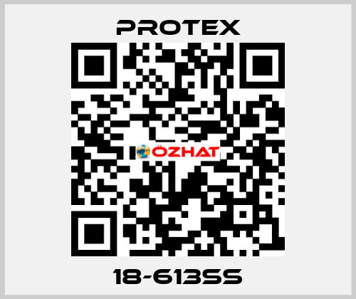 18-613ss Protex