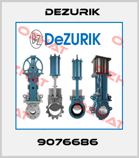  9076686  DeZurik