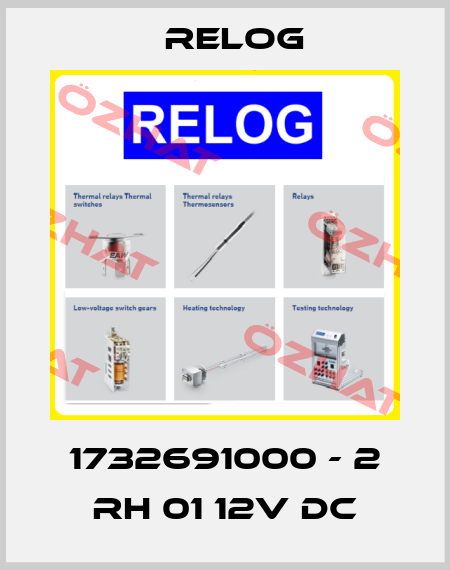 1732691000 - 2 RH 01 12V DC Relog