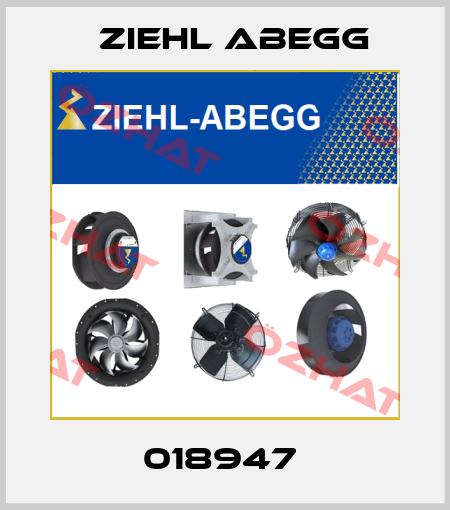 018947  Ziehl Abegg