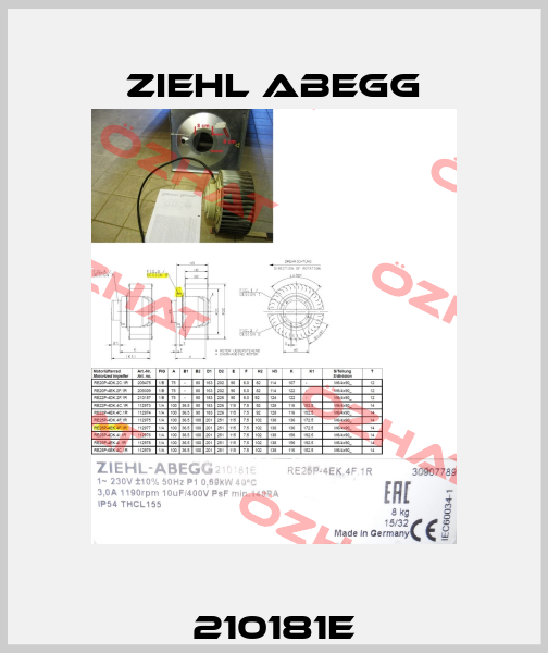 210181E Ziehl Abegg