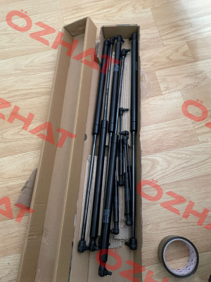 4924DX 0300N Stabilus