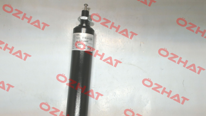 01800122G 400N Suspa