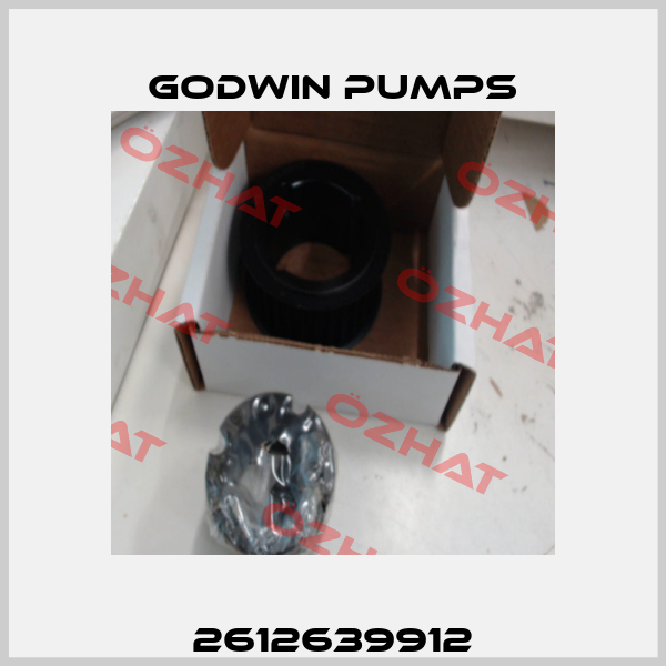 2612639912 Godwin Pumps