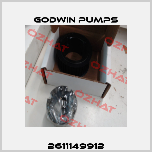 2611149912 Godwin Pumps
