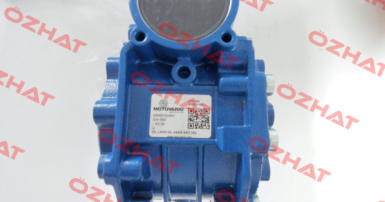 SW063 60,0 120*19 25 U MV Motovario