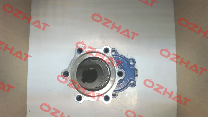 3044081 Motovario