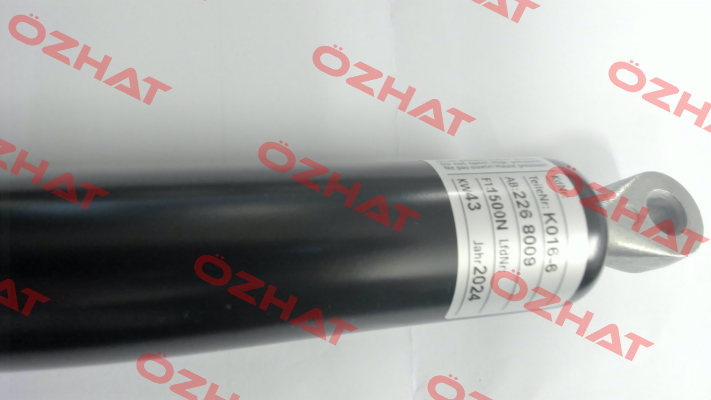 16-6 01600410 Suspa